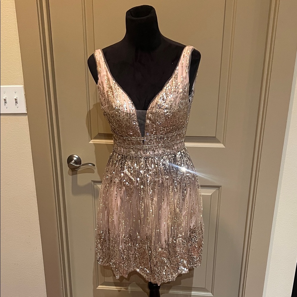 Sparkling Sequin Dress
